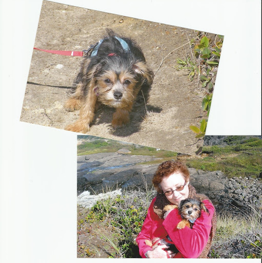Judith Richards Photo 30