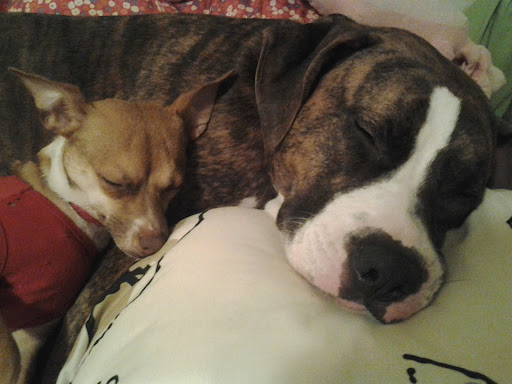 Rachel Branch Photo 6