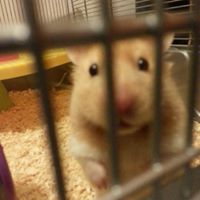 Dan Nicholson Photo 39