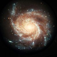 Barbara Parris Photo 13