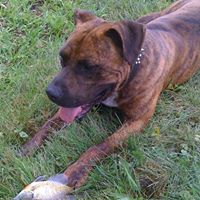 Joseph Billingsley Photo 11