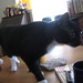 Timothy Hatcher Photo 16