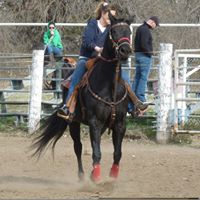 Terri Patrick Photo 29