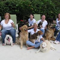 Linda Hayles Photo 8