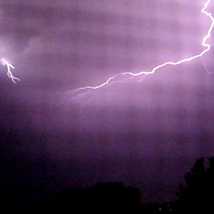 Teresa Knight Photo 46