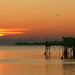 Judy Shields Photo 31