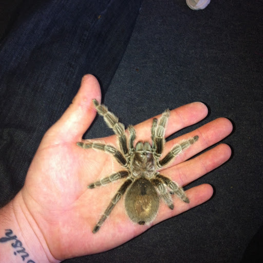 Aaron Clarke Photo 23