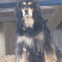 Doris Nicholson Photo 10