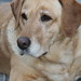 Esther Rose Photo 13