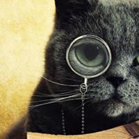 Connor Middleton Photo 6