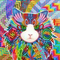 Tom Vandyke Photo 13