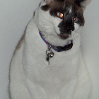 Stephanie Swafford Photo 26