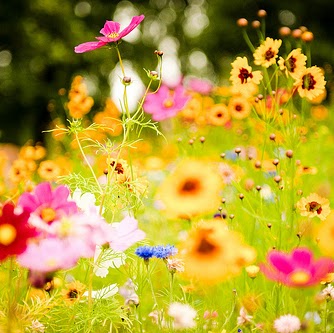 Stacy Billings Photo 5