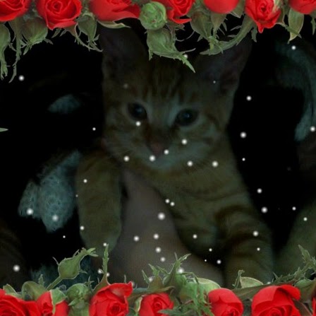 Christine Andersen Photo 16