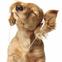 Kristina Kelly Photo 9