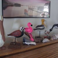 Sally Schwartz Photo 6