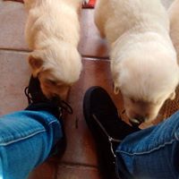 Nancy Salter Photo 6