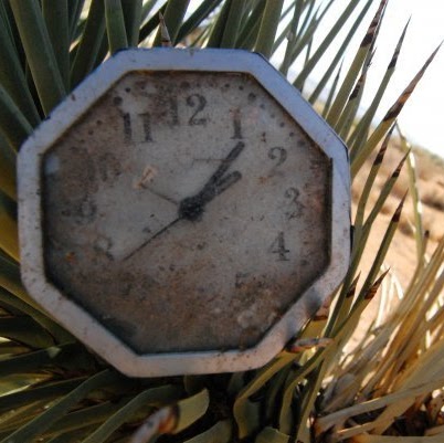 Walter Moran Photo 18