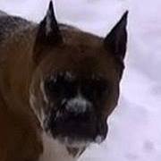 Teresa Hathaway Photo 11