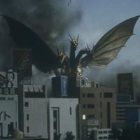 Isaac Gutierrez Photo 16