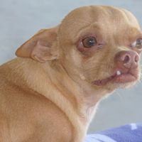 Max Caldwell Photo 10