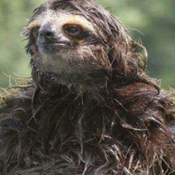 Steve Sheffield Photo 24