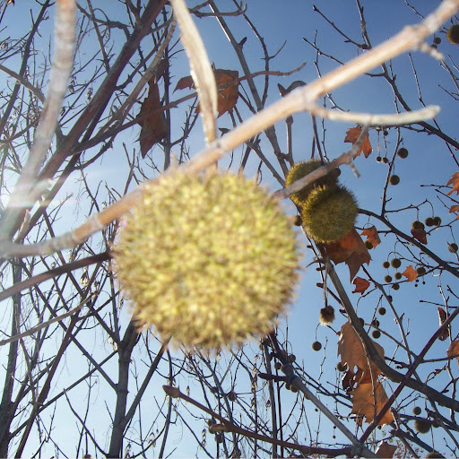 Mary Ramirez Photo 13