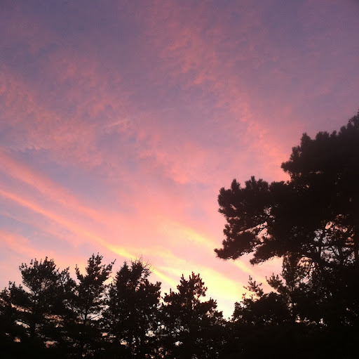 John Mcgraw Photo 18