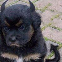 David Reedy Photo 21