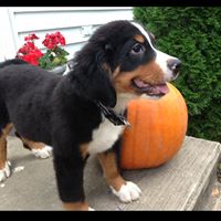 Kathleen Hight Photo 3