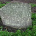 Mary Whitehead Photo 32