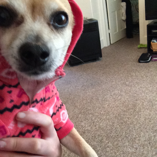 Kristin Jacobs Photo 15