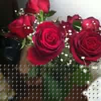 Elsa Villalobos Photo 25