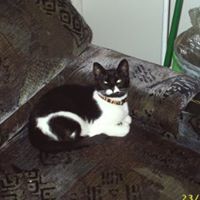 Connie Whalen Photo 28
