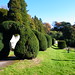 Charles Hedges Photo 14