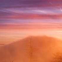 Michelle Lanier Photo 5