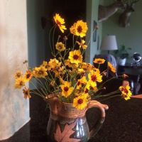 Michele Gann Photo 18