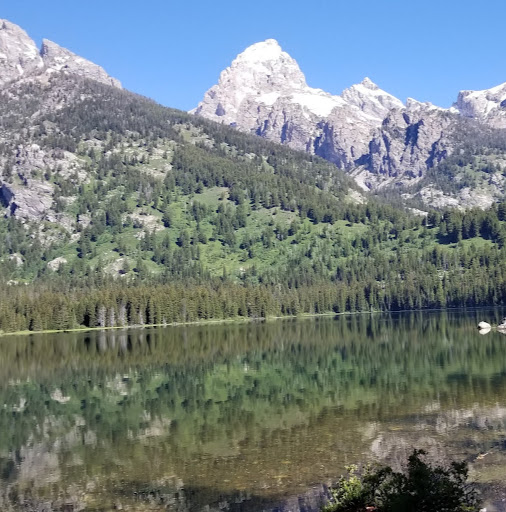 Barry Gilbert Photo 20