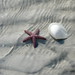 Christine Halverson Photo 13