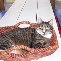 Janice Wetherbee Photo 3