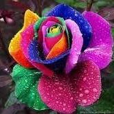 Cynthia Mathews Photo 34