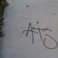 Anita Goodrich Photo 18