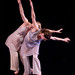 Robert Stutesman Photo 13