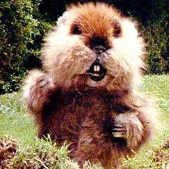 Bruce Reid Photo 11 Bruce Reid Photo 11