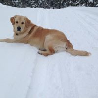 Melanie Marsh Photo 40