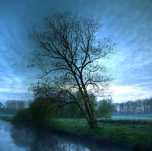 Rajinder Brar Photo 10