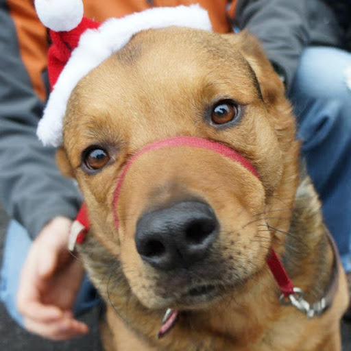 Christopher Turner Photo 56 Christopher Turner Photo 56