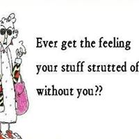 Cindy Hammons Photo 20