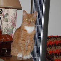 Frances Glover Photo 30