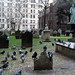 John Watts Photo 31